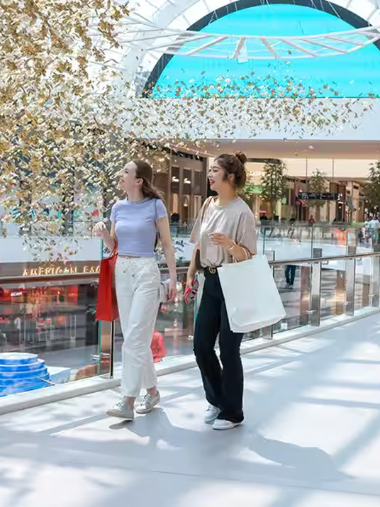 Dubai Shopping Festival